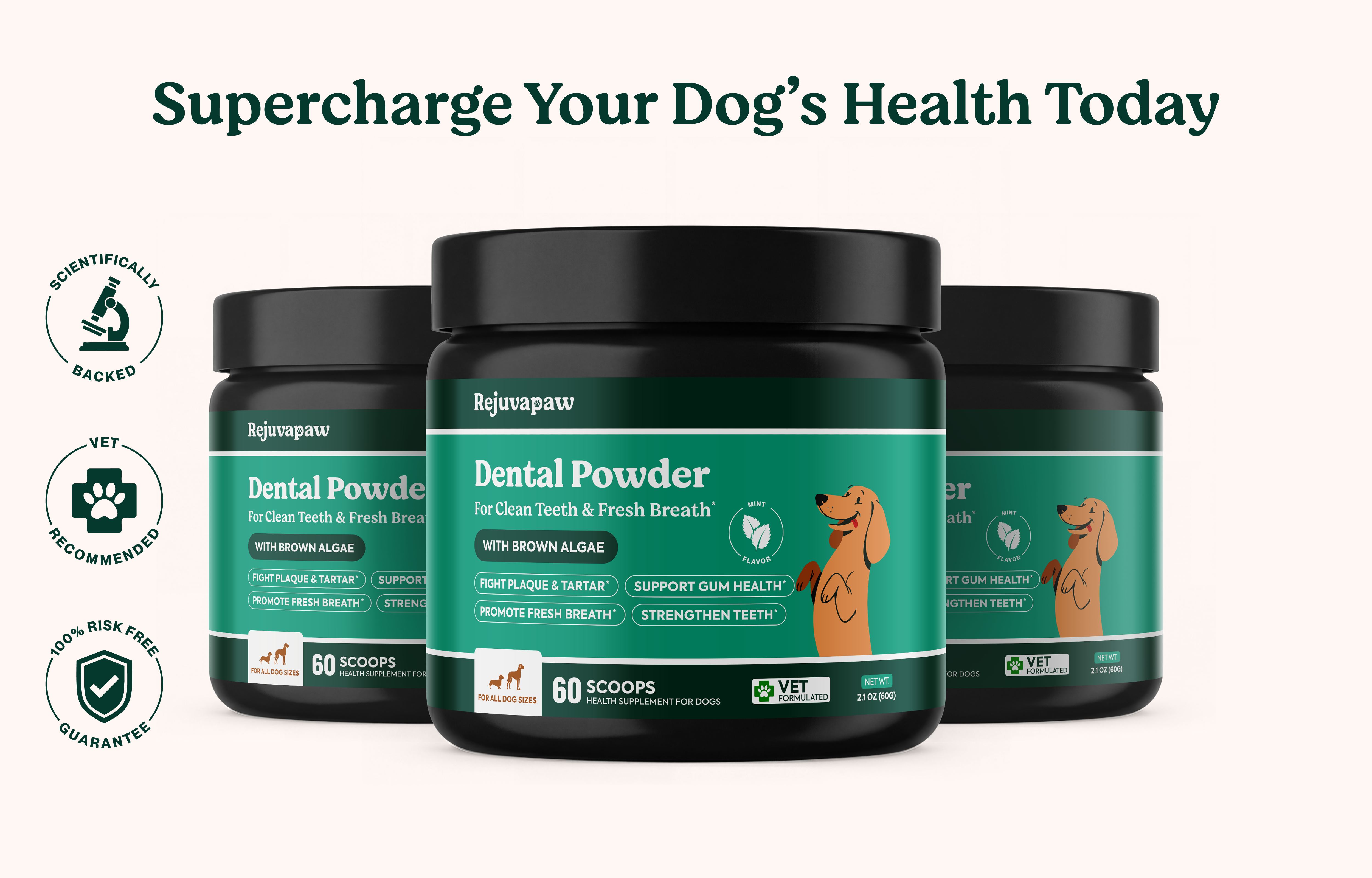 Dental Powder