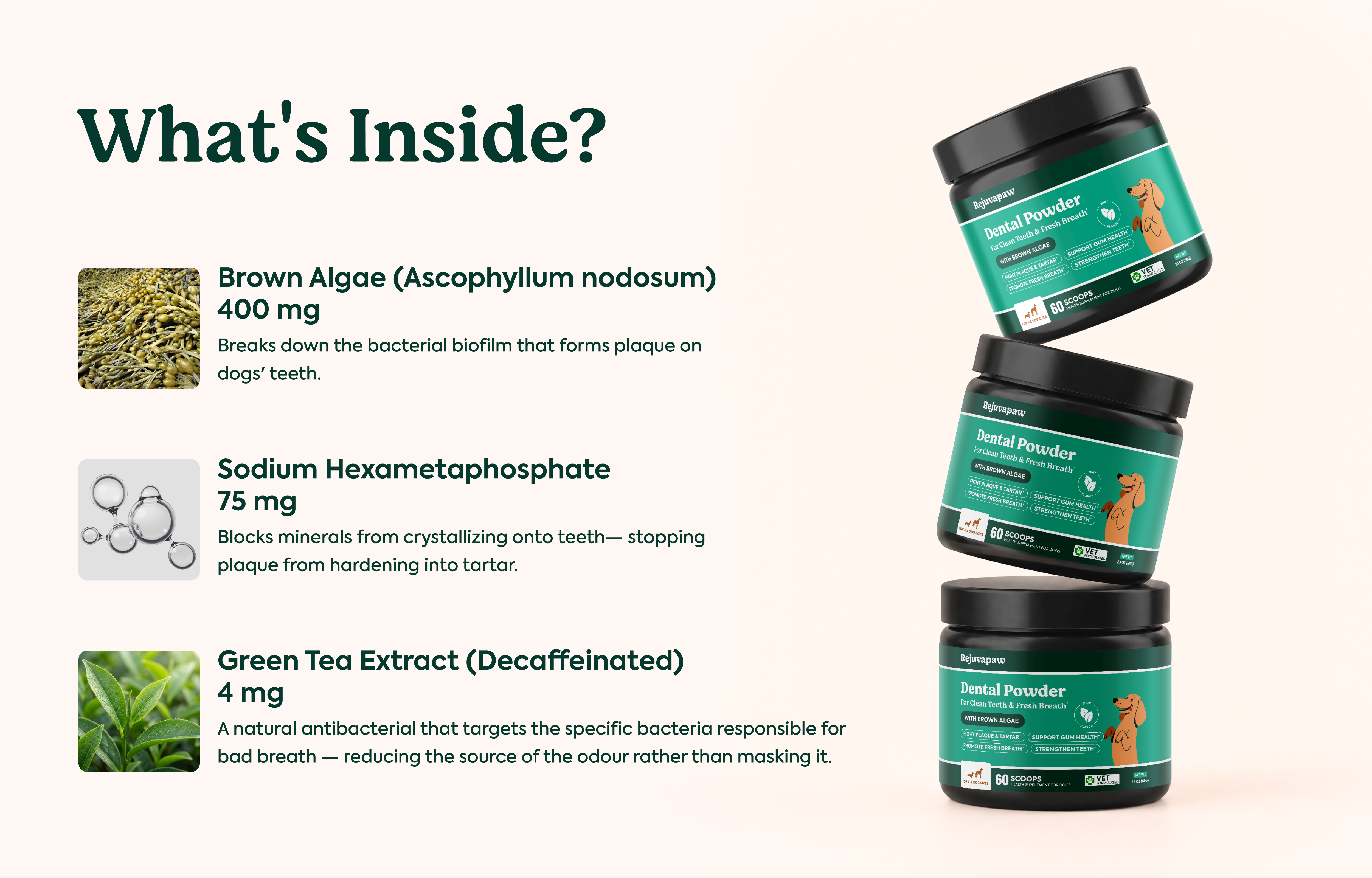Dental Powder