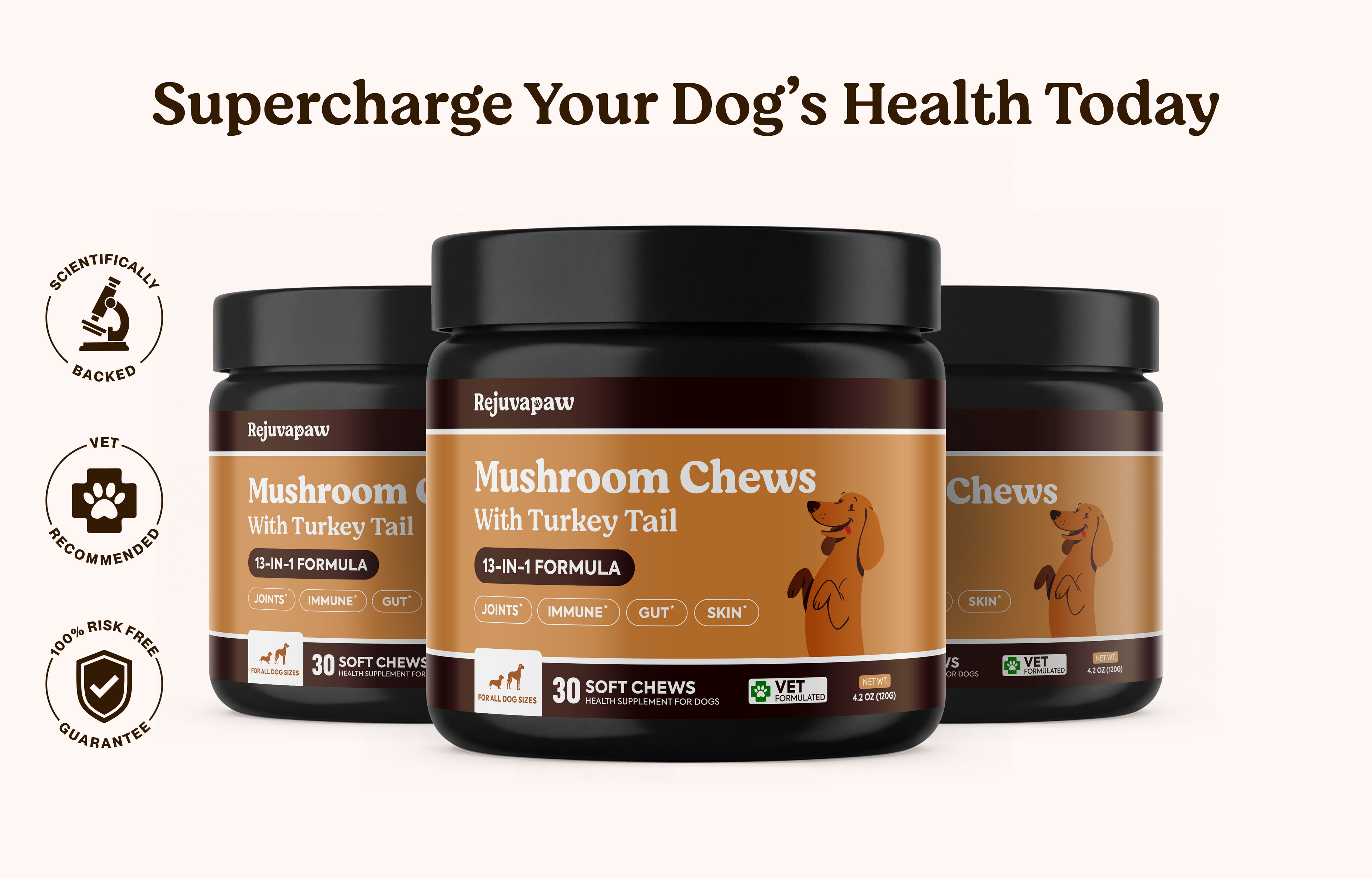 Mushroom Chews