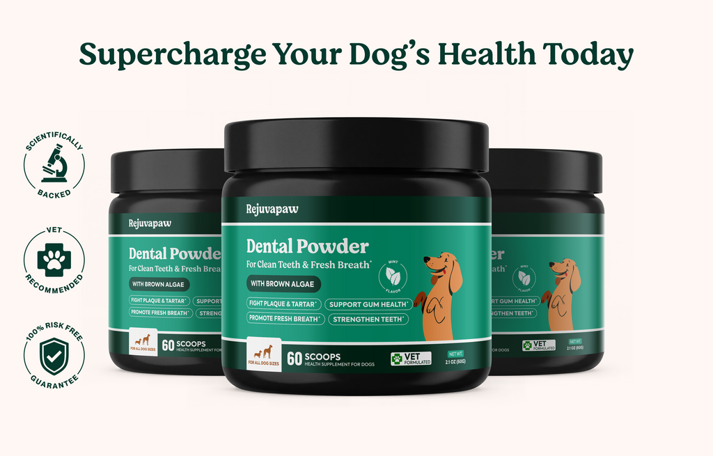 Dental Powder
