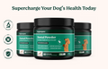 Dental Powder