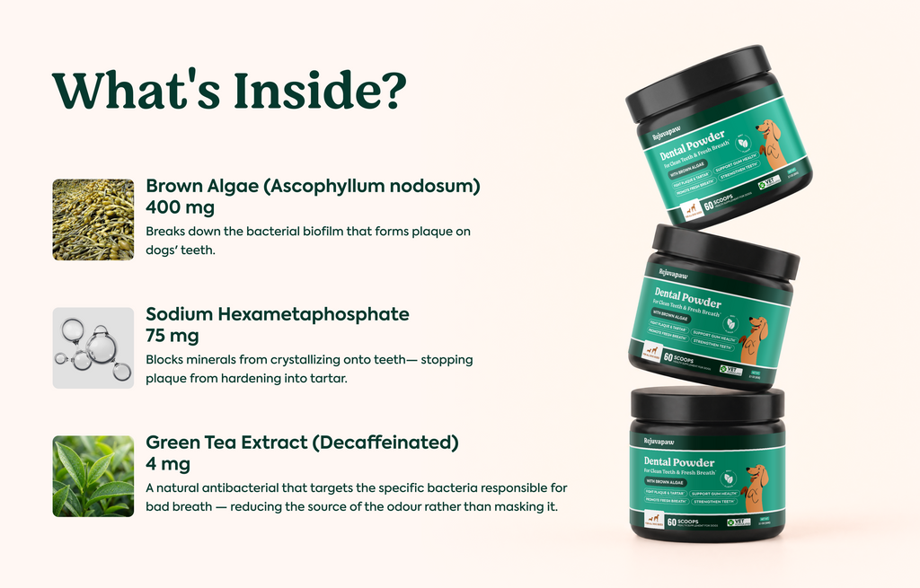 Dental Powder