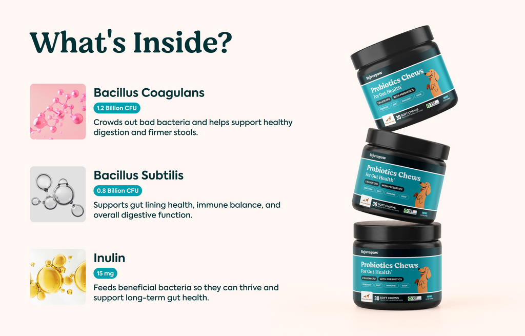 Probiotics