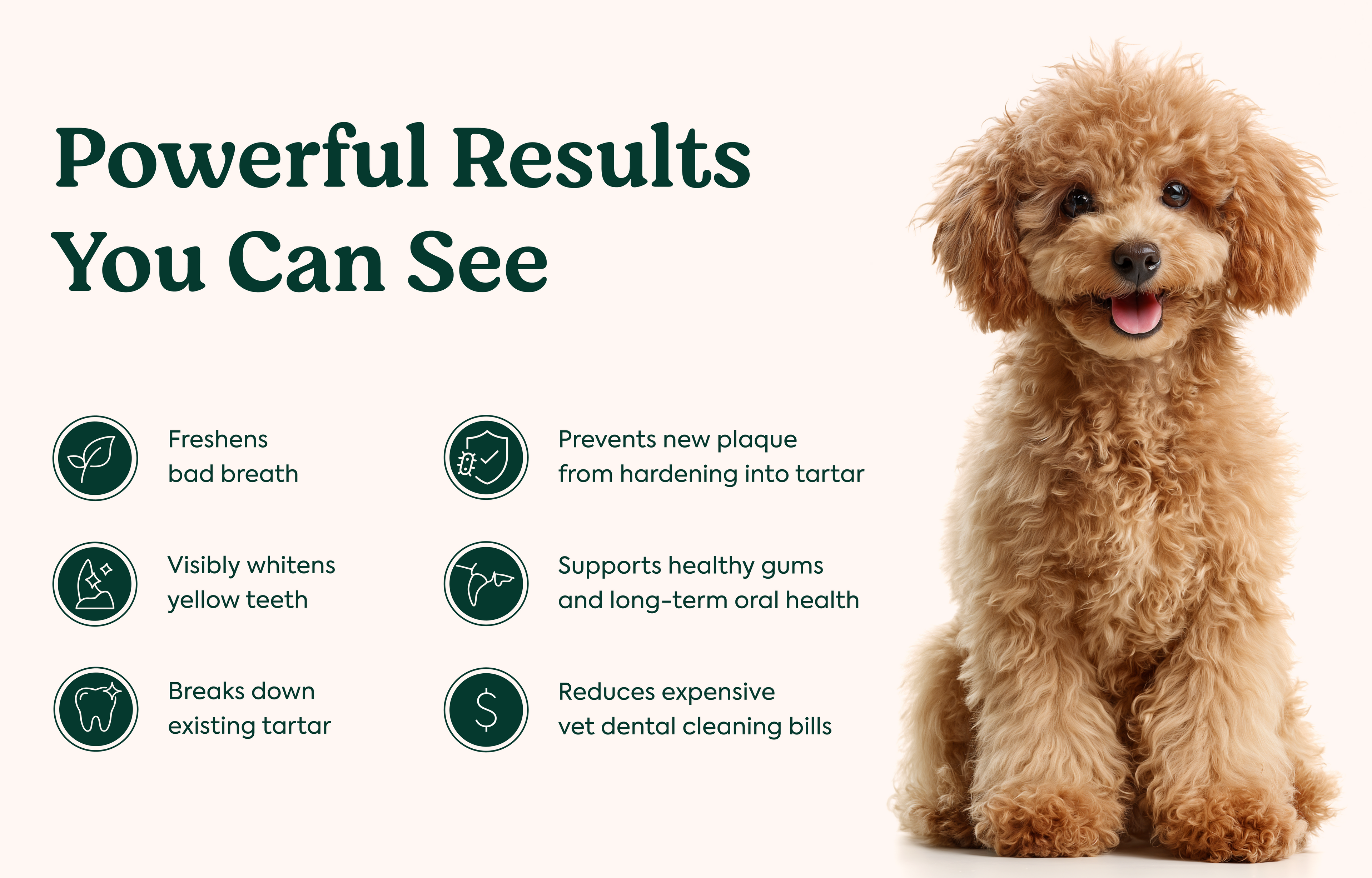 Dental Powder