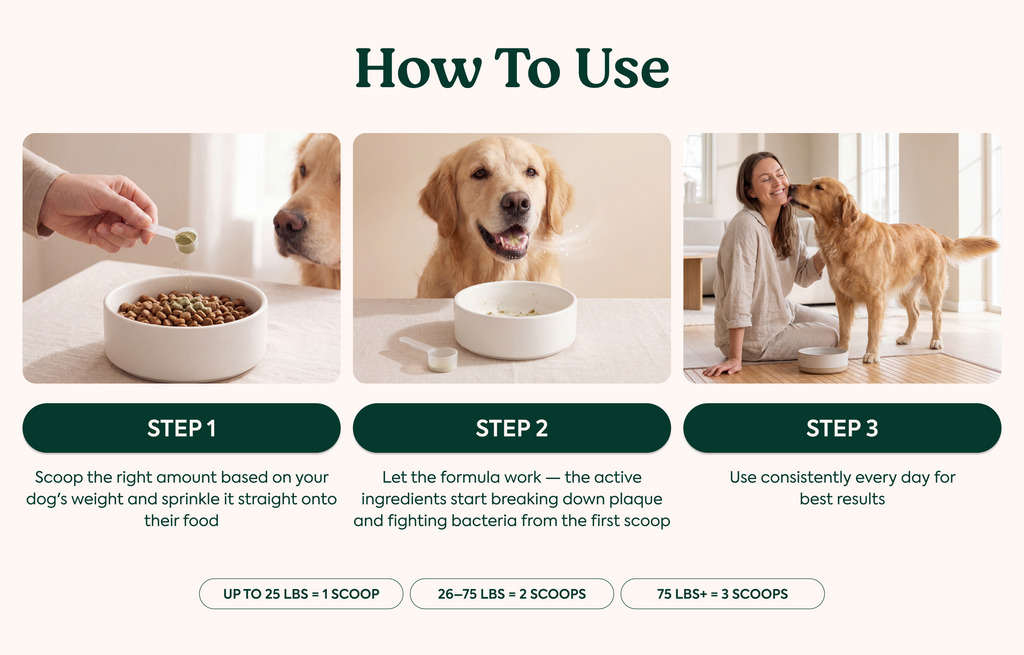 Dental Powder