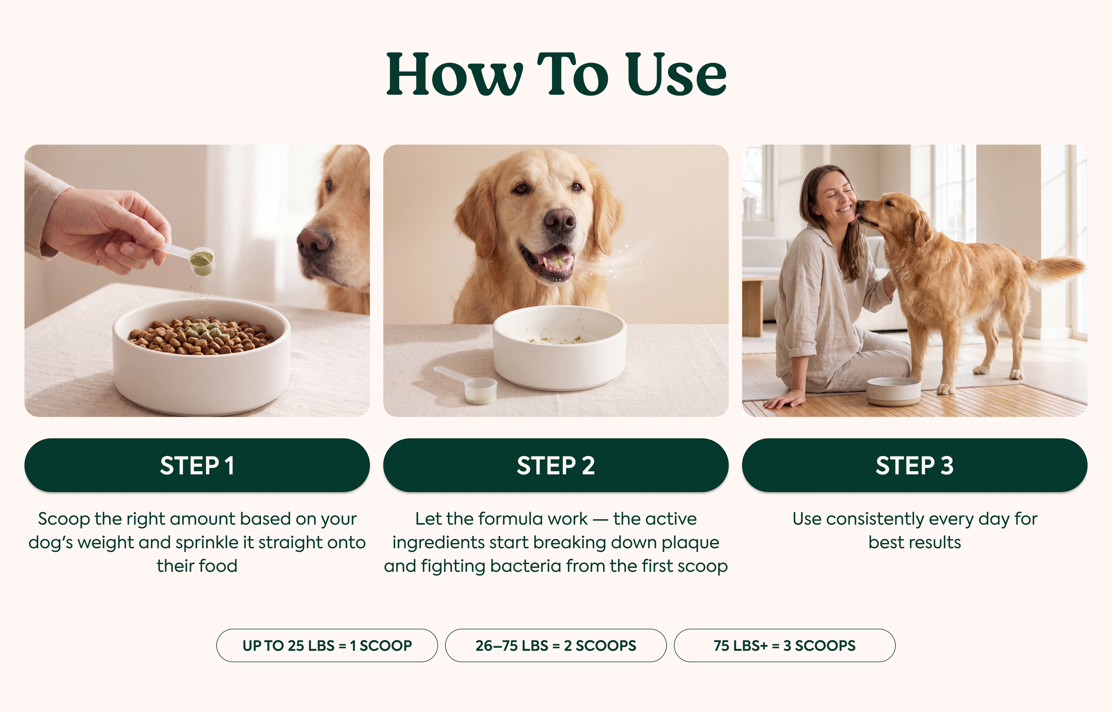 Dental Powder