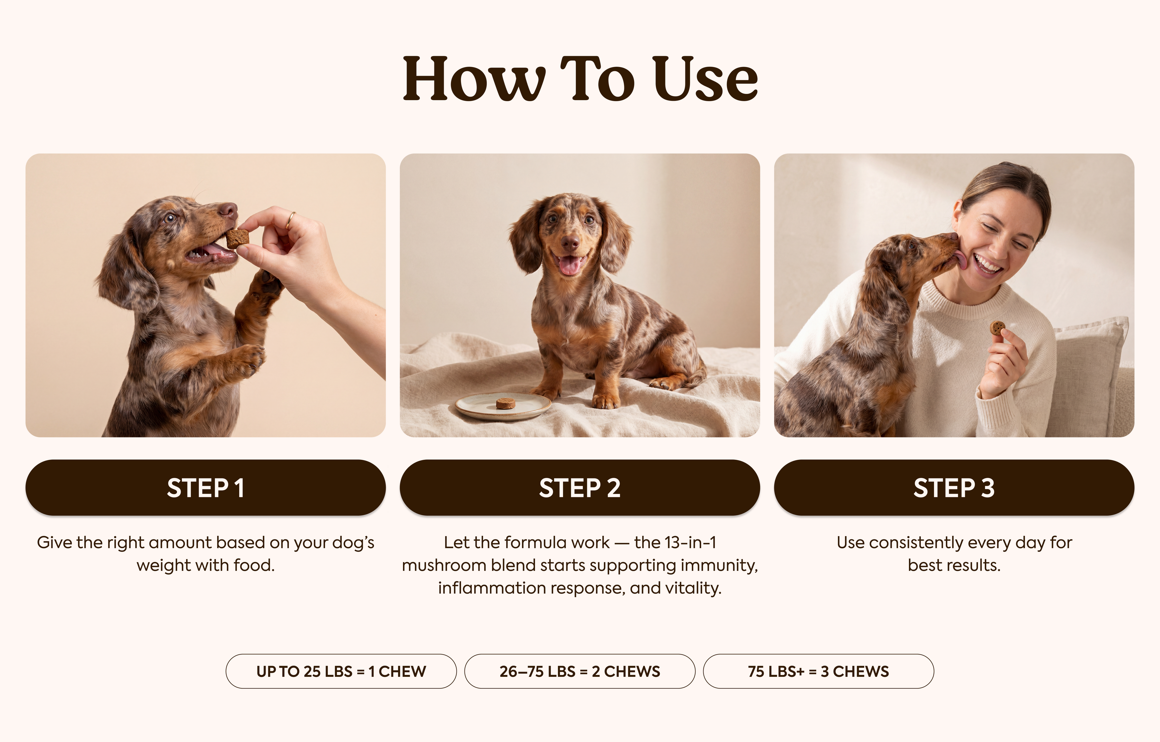 Mushroom Chews