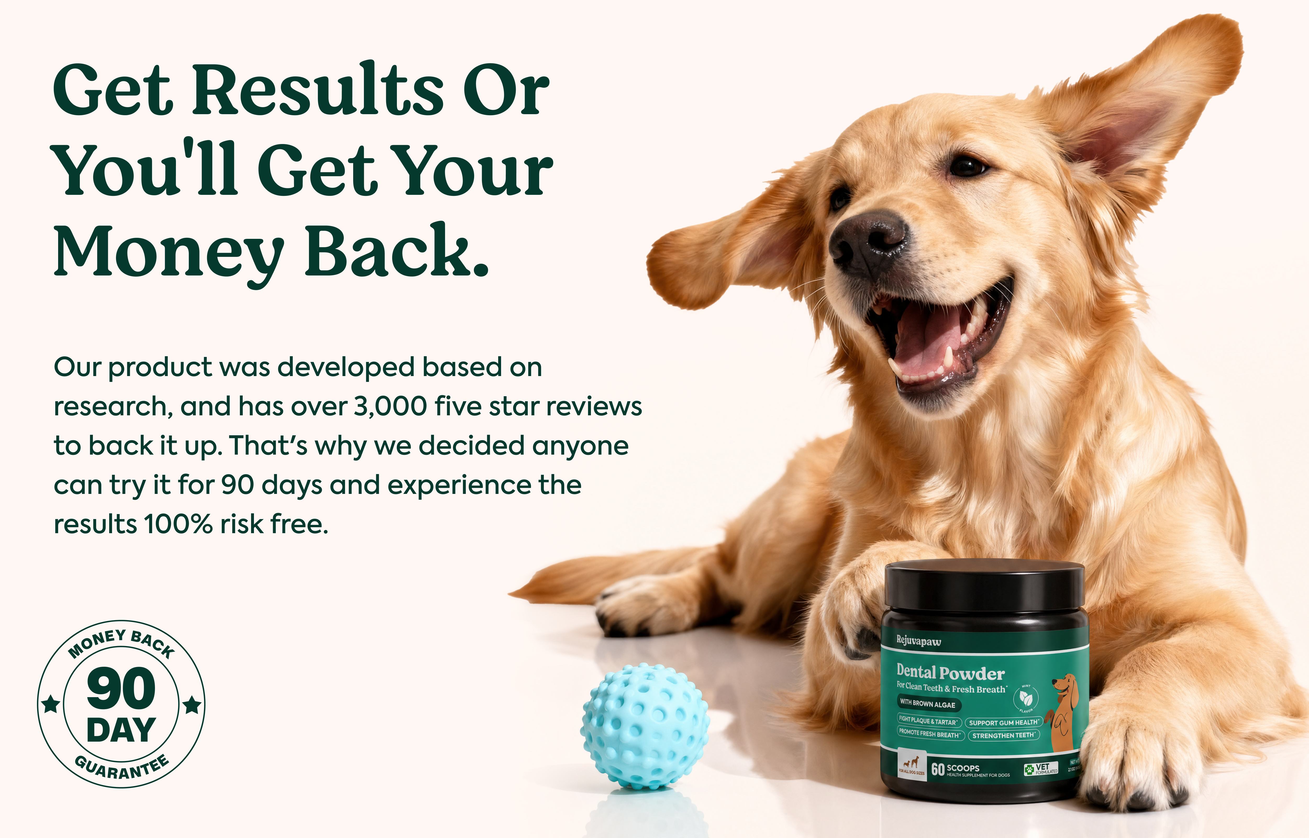 Dental Powder