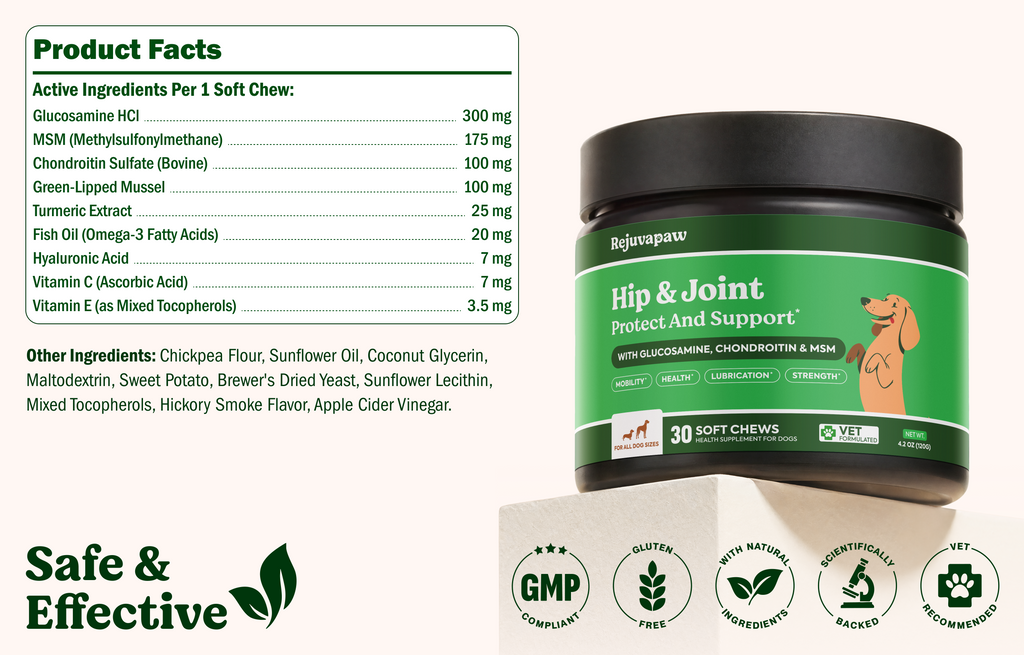 Hip & Joint